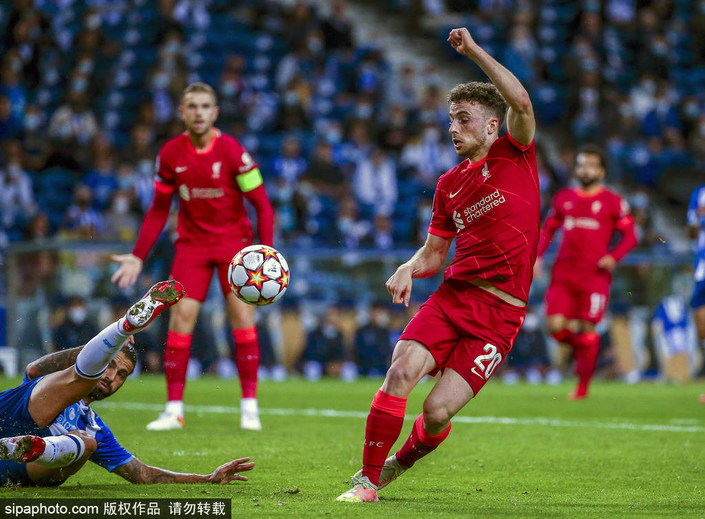 解说指南 解说指南